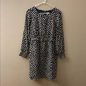 NWT Navy/Cream dress from J.Crew Size 4